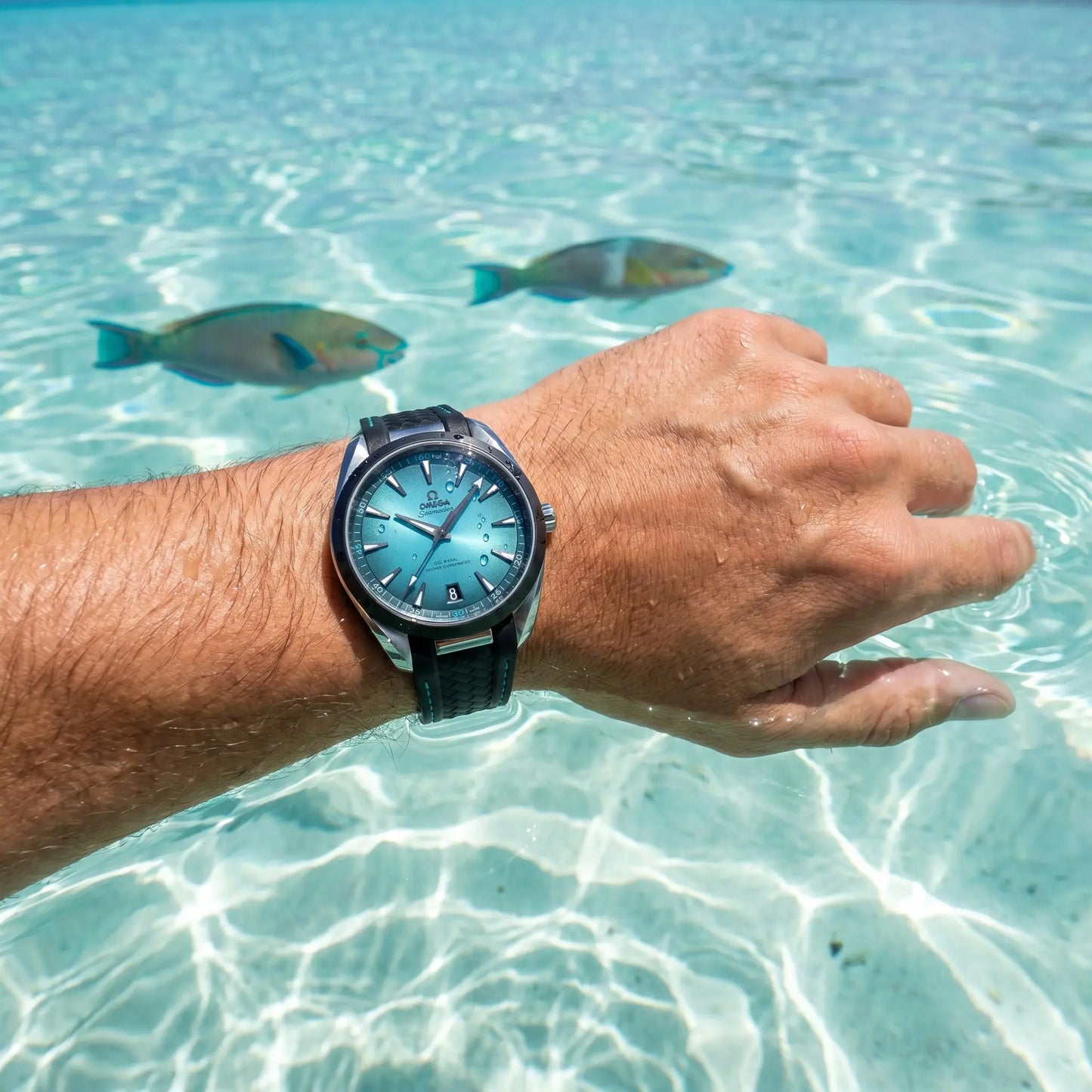 Omega Seamaster Aqua Terra Turquoise
