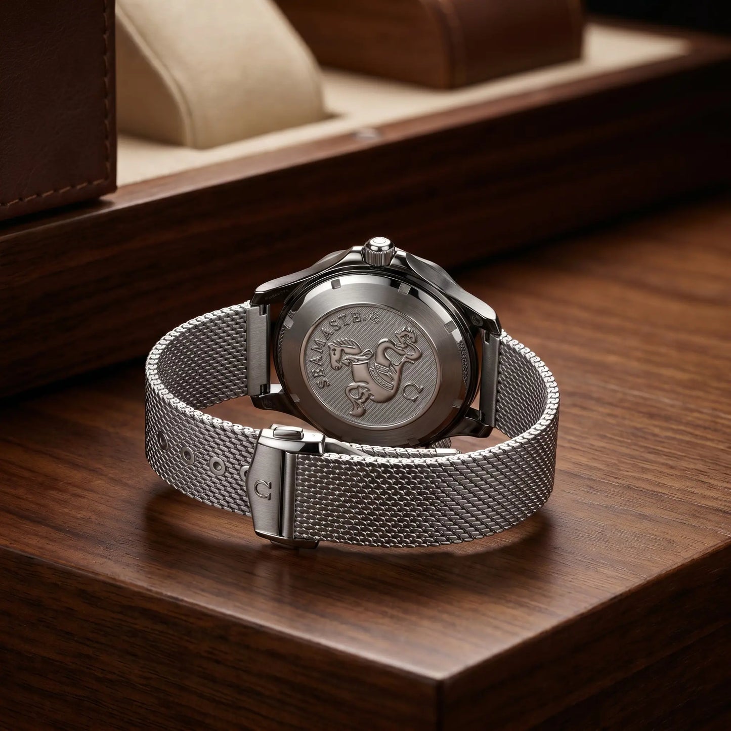 Omega Seamaster Diver 300M