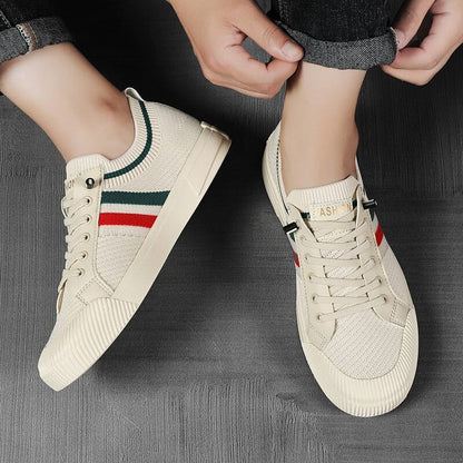 Massimo Knit Sneakers Minha loja 